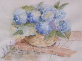 Aquarelschilderijen Rita Hamstra - Thema Bloemen 4
