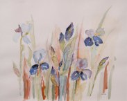Aquarelschilderijen Rita Hamstra - Thema Bloemen 5