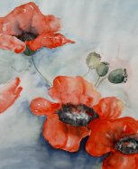 Aquarelschilderijen Rita Hamstra - Thema Bloemen 6
